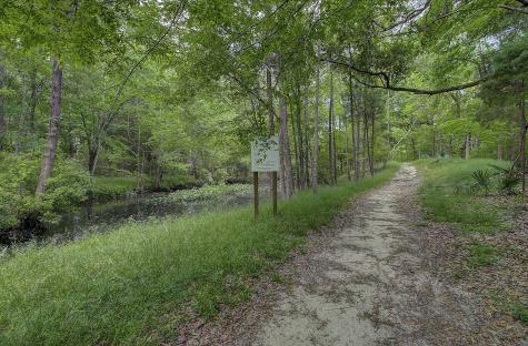 103 Laurens Court Summerville SC 29485