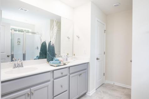 343 Camellia Bloom Drive Moncks Corner SC 29461