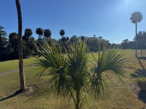 280 Driftwood Lane Edisto Beach SC 29438