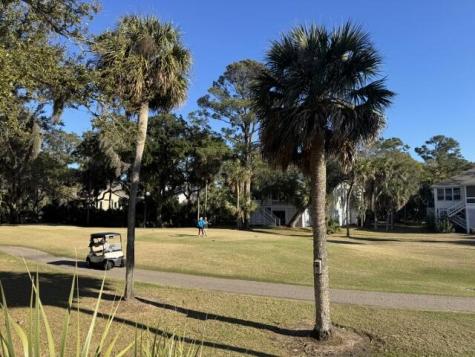 280 Driftwood Lane Edisto Beach SC 29438