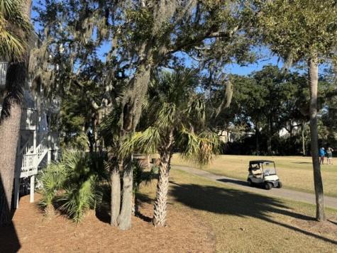 280 Driftwood Lane Edisto Beach SC 29438