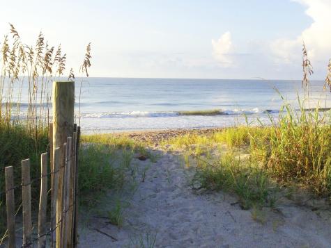 280 Driftwood Lane Edisto Beach SC 29438