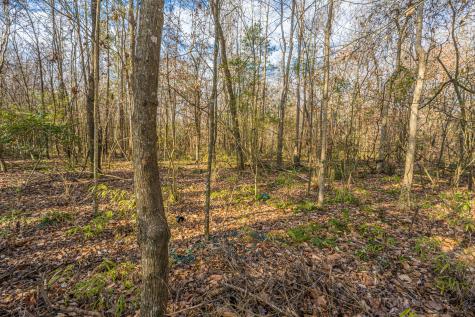 126 Sarmiento Lane Summerville SC 29483