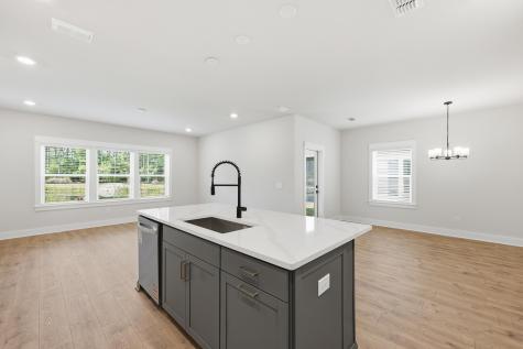 214 Twinleaf Court Charleston SC 29414
