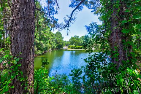 1406 Diamond Boulevard Mount Pleasant SC 29466