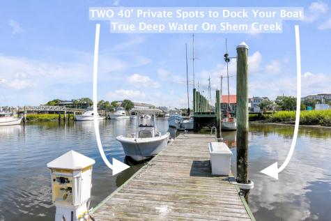 228 Haddrell Street Mount Pleasant SC 29464