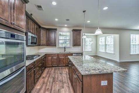201 Bigleaf Court Summerville SC 29486