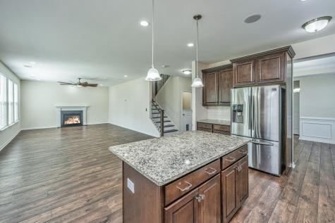 201 Bigleaf Court Summerville SC 29486
