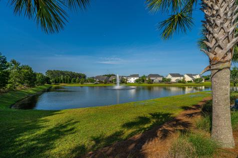 201 Bigleaf Court Summerville SC 29486