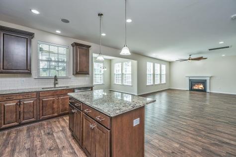 201 Bigleaf Court Summerville SC 29486