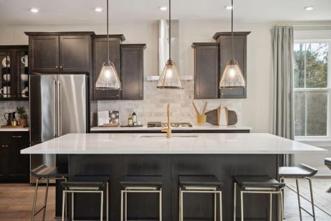 1489 Cultivation Lane Mount Pleasant SC 29466