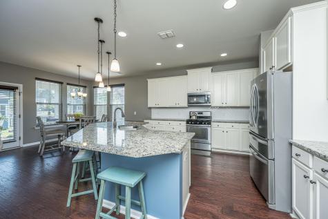 138 Basket Grass Lane Summerville SC 29486