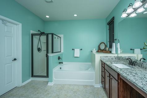 138 Basket Grass Lane Summerville SC 29486