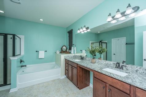 138 Basket Grass Lane Summerville SC 29486