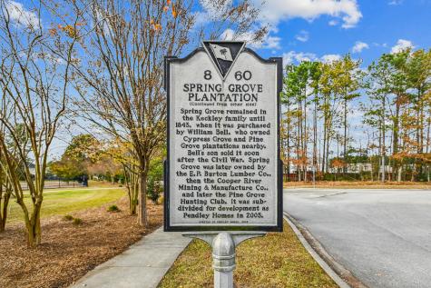 348 Drayton Place Drive Moncks Corner SC 29461