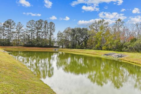348 Drayton Place Drive Moncks Corner SC 29461