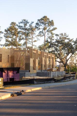 809 Roddin Street Daniel Island SC 29492