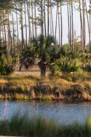 809 Roddin Street Daniel Island SC 29492