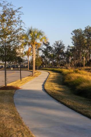 809 Roddin Street Daniel Island SC 29492