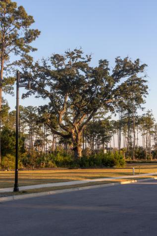 809 Roddin Street Daniel Island SC 29492