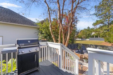 164 Etiwan Park Street Daniel Island SC 29492