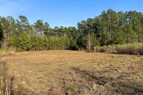 1321 Wood Sorrel Drive Moncks Corner SC 29461