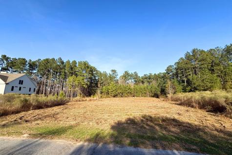 1321 Wood Sorrel Drive Moncks Corner SC 29461
