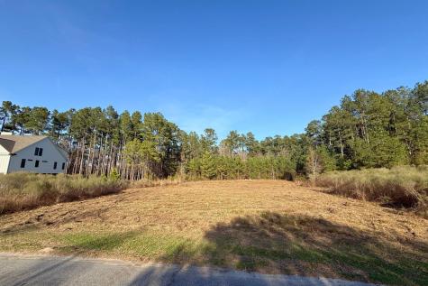 1321 Wood Sorrel Drive Moncks Corner SC 29461