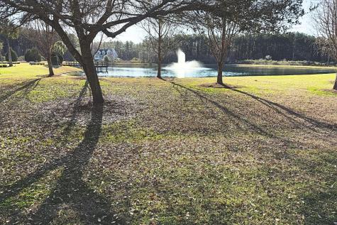 1321 Wood Sorrel Drive Moncks Corner SC 29461