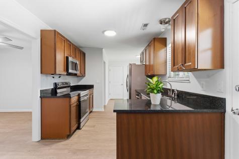 226 Smythe Drive Summerville SC 29485