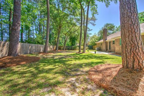 226 Smythe Drive Summerville SC 29485