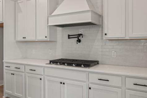 3663 Conch Street Mount Pleasant SC 29466