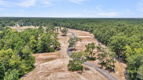 3 Kings River Trail Hollywood SC 29449