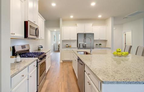 1022 Red Turnstone Run Summerville SC 29485