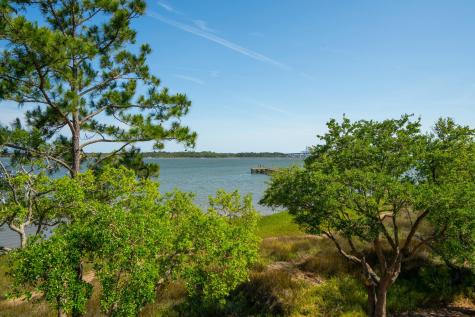 401 Wayfaring Point Daniel Island SC 29492