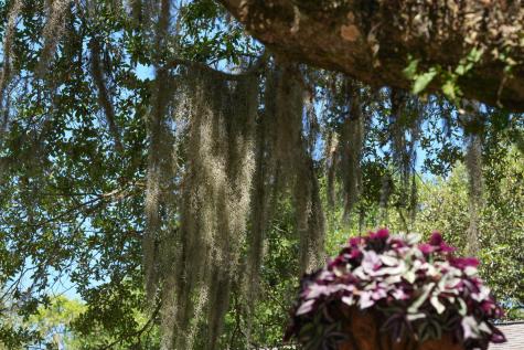 624 Double Eagle Trace Seabrook Island SC 29455