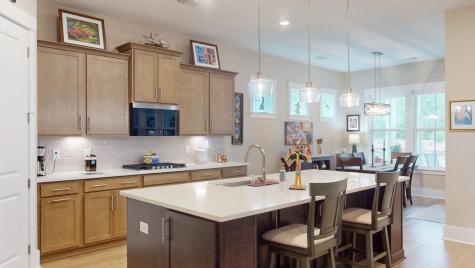 156 Summerwind Drive Summerville SC 29486