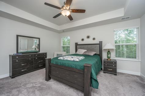 217 Alston Street Summerville SC 29483