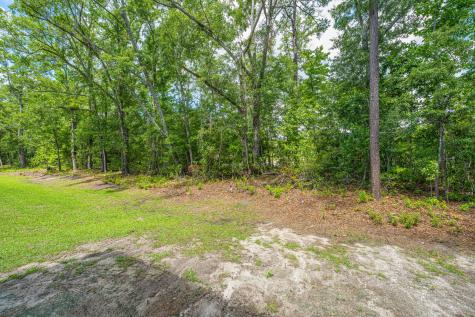 217 Alston Street Summerville SC 29483