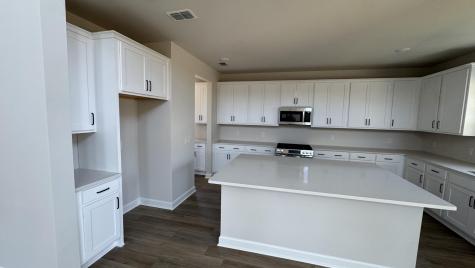 5361 Crinum Lilly Summerville SC 29485