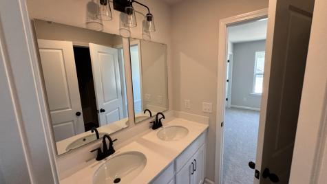 5361 Crinum Lilly Summerville SC 29485