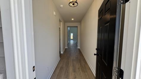 5361 Crinum Lilly Summerville SC 29485