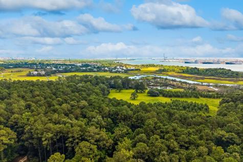 523 Amalie Farms Drive Charleston SC 29492
