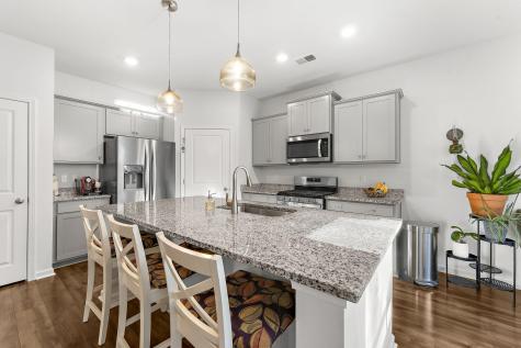 1035 Sago Palm Court Mount Pleasant SC 29466