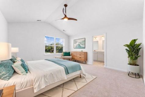 1035 Sago Palm Court Mount Pleasant SC 29466