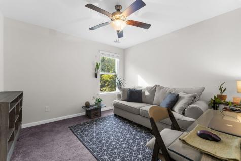 1035 Sago Palm Court Mount Pleasant SC 29466