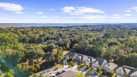 1035 Sago Palm Court Mount Pleasant SC 29466