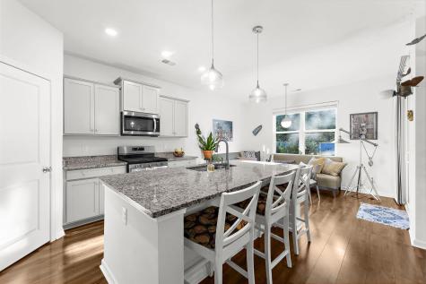 1035 Sago Palm Court Mount Pleasant SC 29466