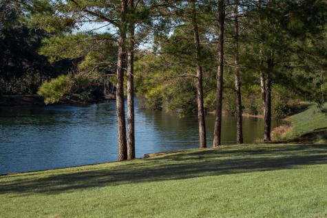 4105 Gnarled Oaks Lane Johns Island SC 29455