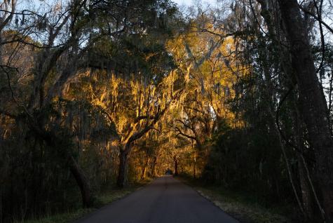 4105 Gnarled Oaks Lane Johns Island SC 29455